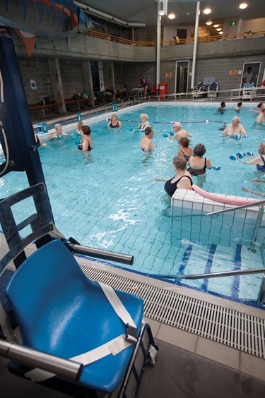 Hydrotherapy pool hoist