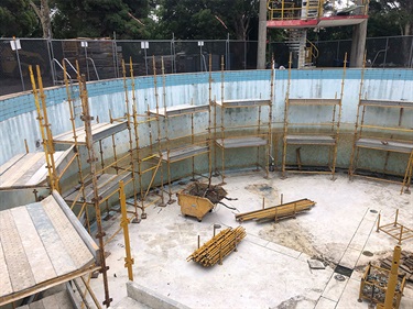 Dive pool being restored