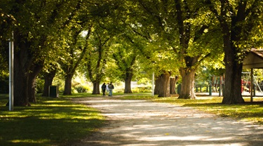 3 people walking below trees on trail in Ardrie Park