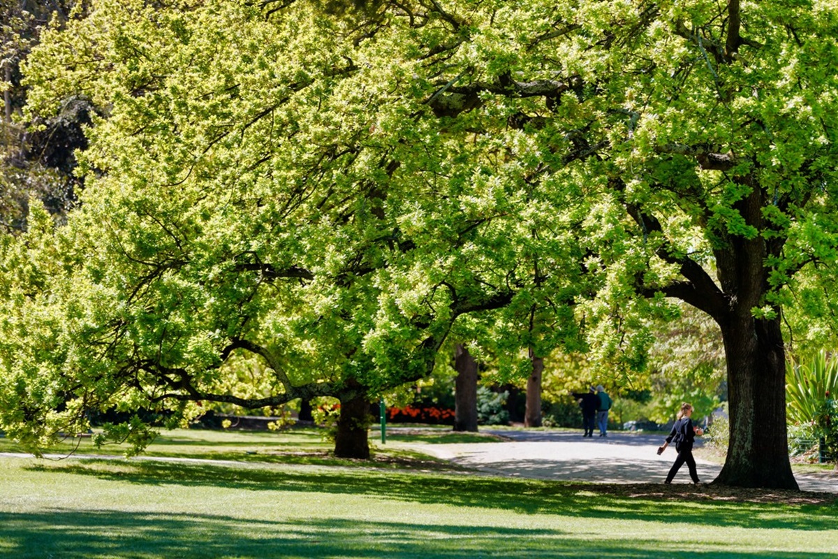 Central Park City of Stonnington