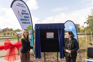 Plaque-Unveiling