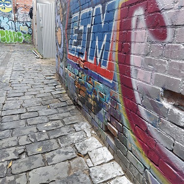 Graffiti not removed from laneways