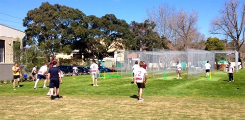 Basil-Oval-old-cricket-nets-800x500.jpg