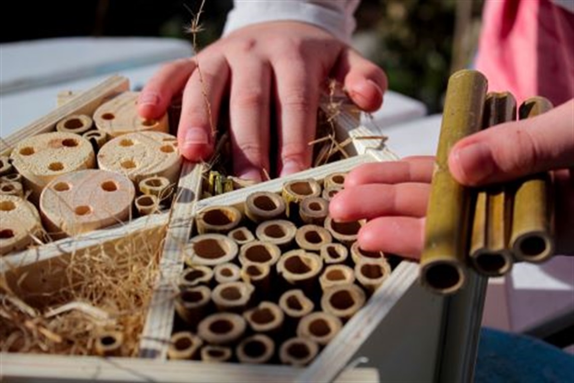 a_child_builds_a_bee_hotel.jpg