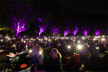 Audience phone lighting to music