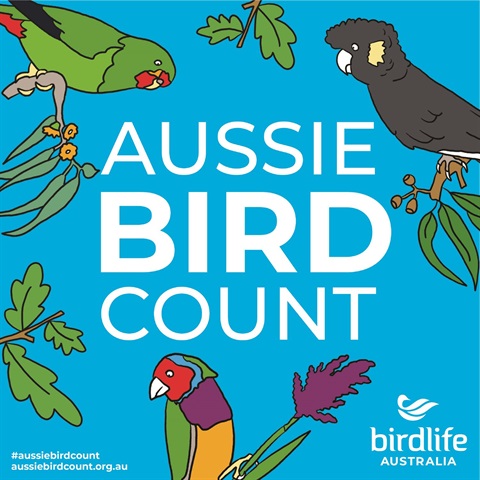 Aussie_bird_count.jpg