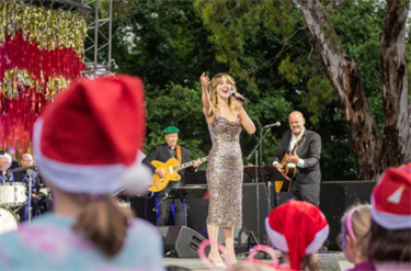 Singer on stage at Central Park