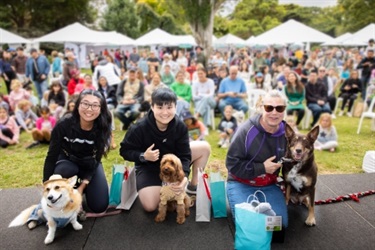 Dogs on stage with owners