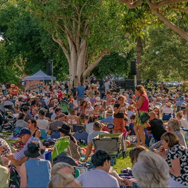 Sunset Sounds crowd