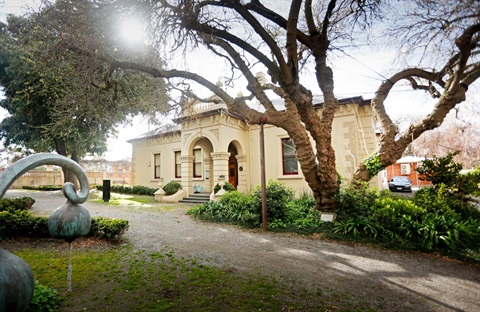 SHC Exterior Mulberry Tree.jpg