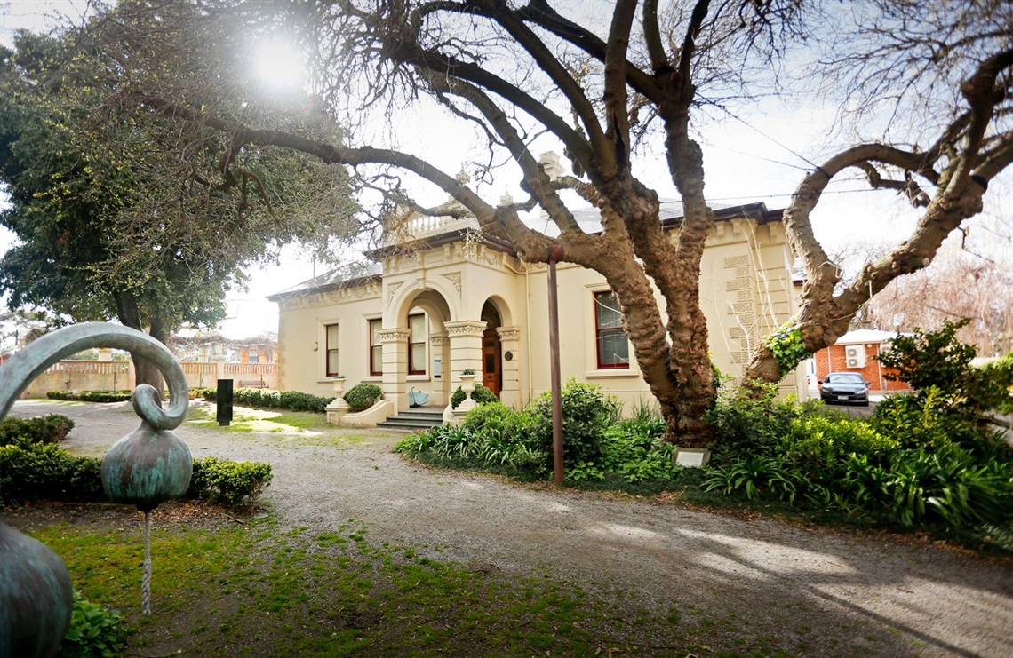 SHC Exterior Mulberry Tree.jpg